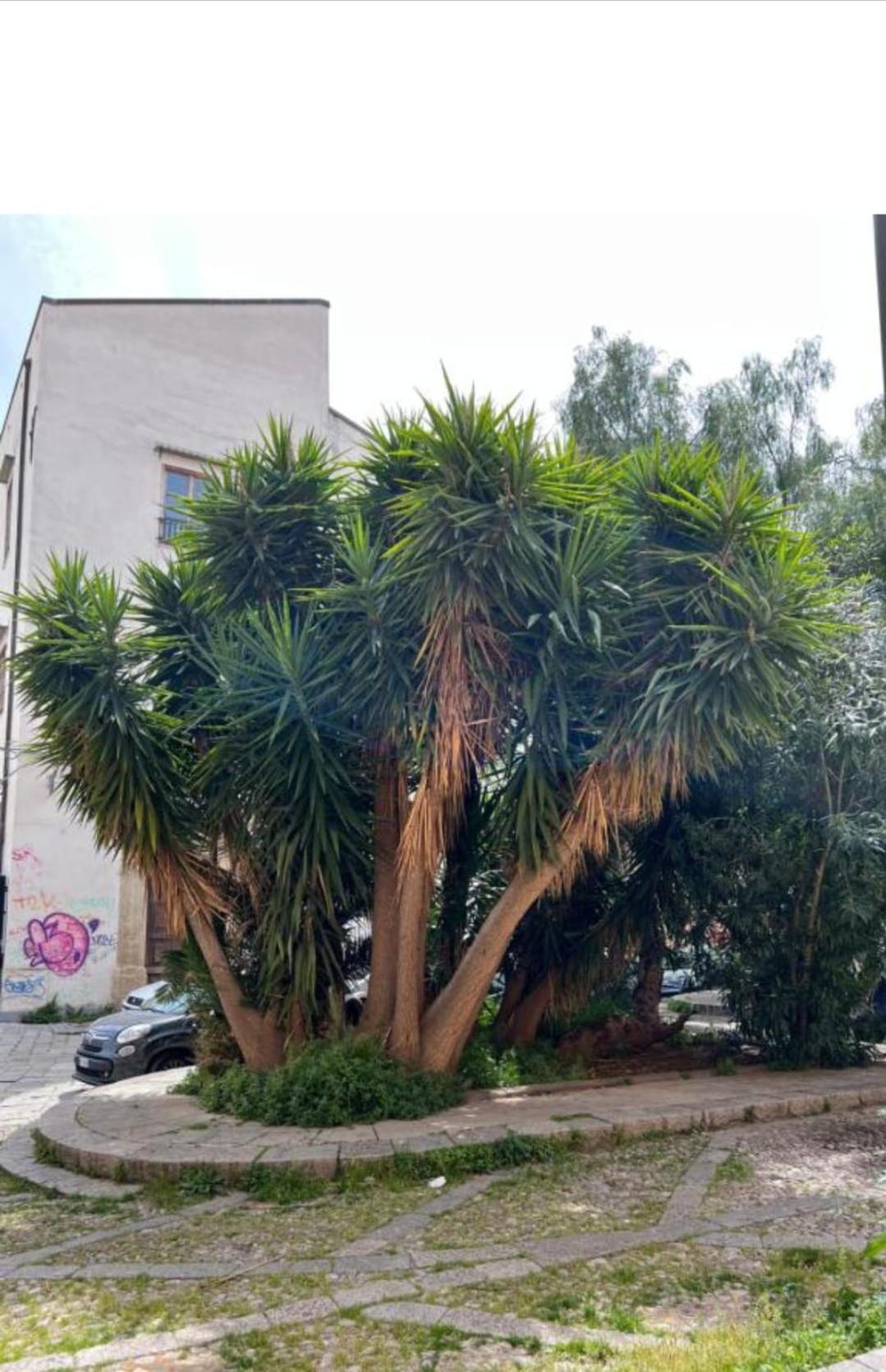 Sicily Guest House 2 Palermo Exterior photo